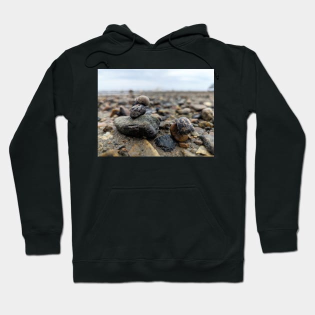 Snail and Rocks Hoodie by searchlight